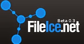 How To Get Approved FileIce Account PPD-CPA Network ?
