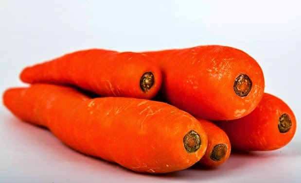 Bearded Dragon Diet Carrots