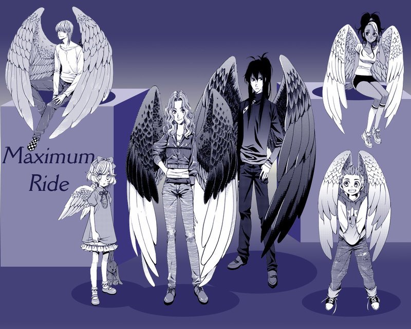 Maximum Ride Erasers