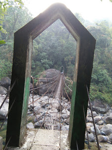 The Trek to Living roots bridge.