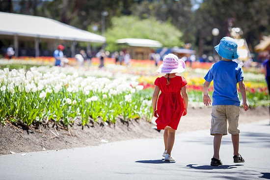 [Image: le-hoi-hoa-nuoc-Uc-5.jpg]