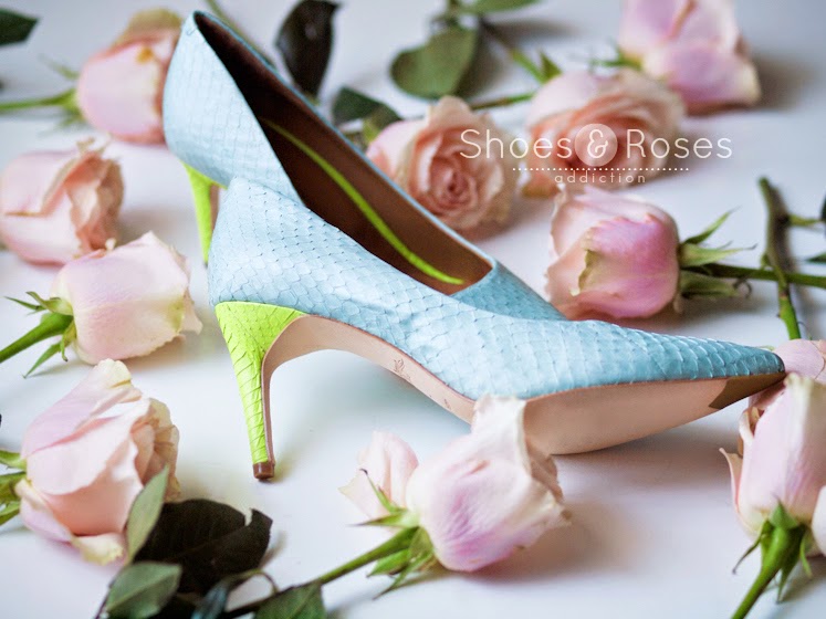 Bittersweet Colours Shoes & Roses