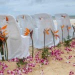 Beach Wedding Photos