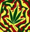 Cuidado com as drogas Cuidado com as drogas