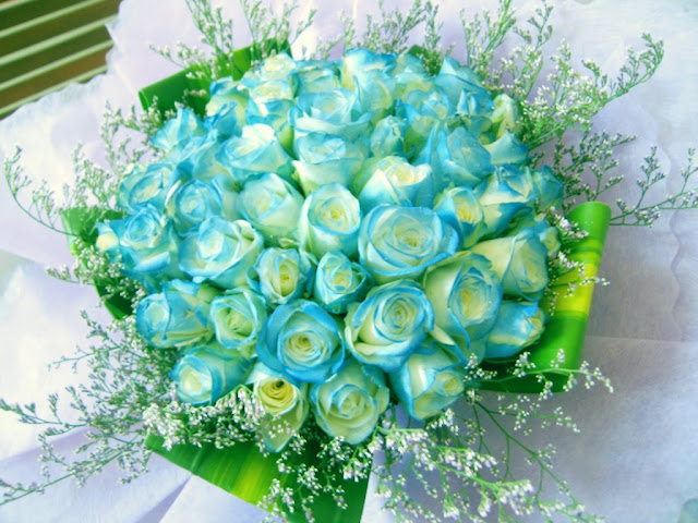 Hình ảnh hoa hồng xanh lãng mạn Hình ảnh hoa hồng xanh lãng mạn