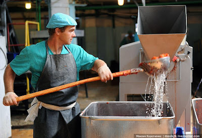 proses mengetin sayur4