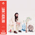 Mattew E. White - Big Inner (Domino Records)