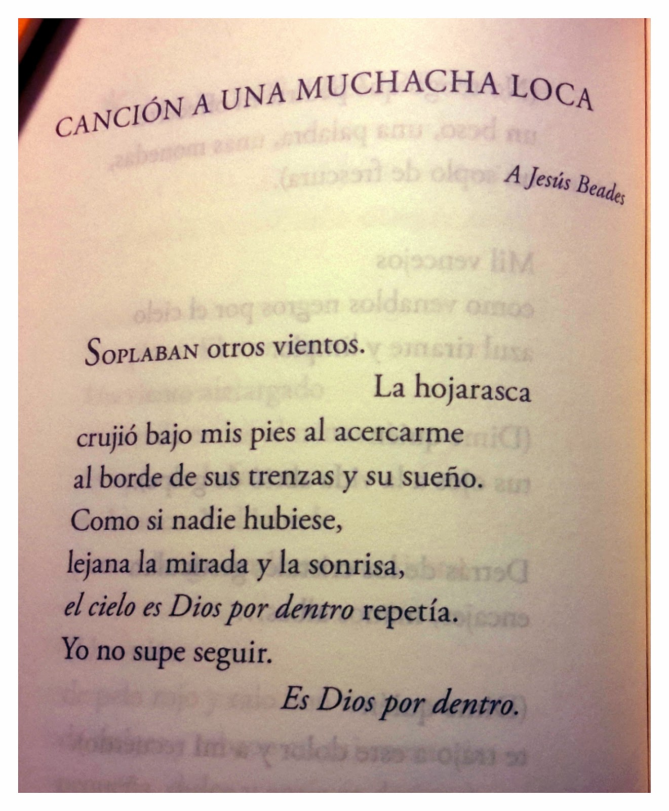 DI AMIGO Y ENTRA di amigo y entra:
