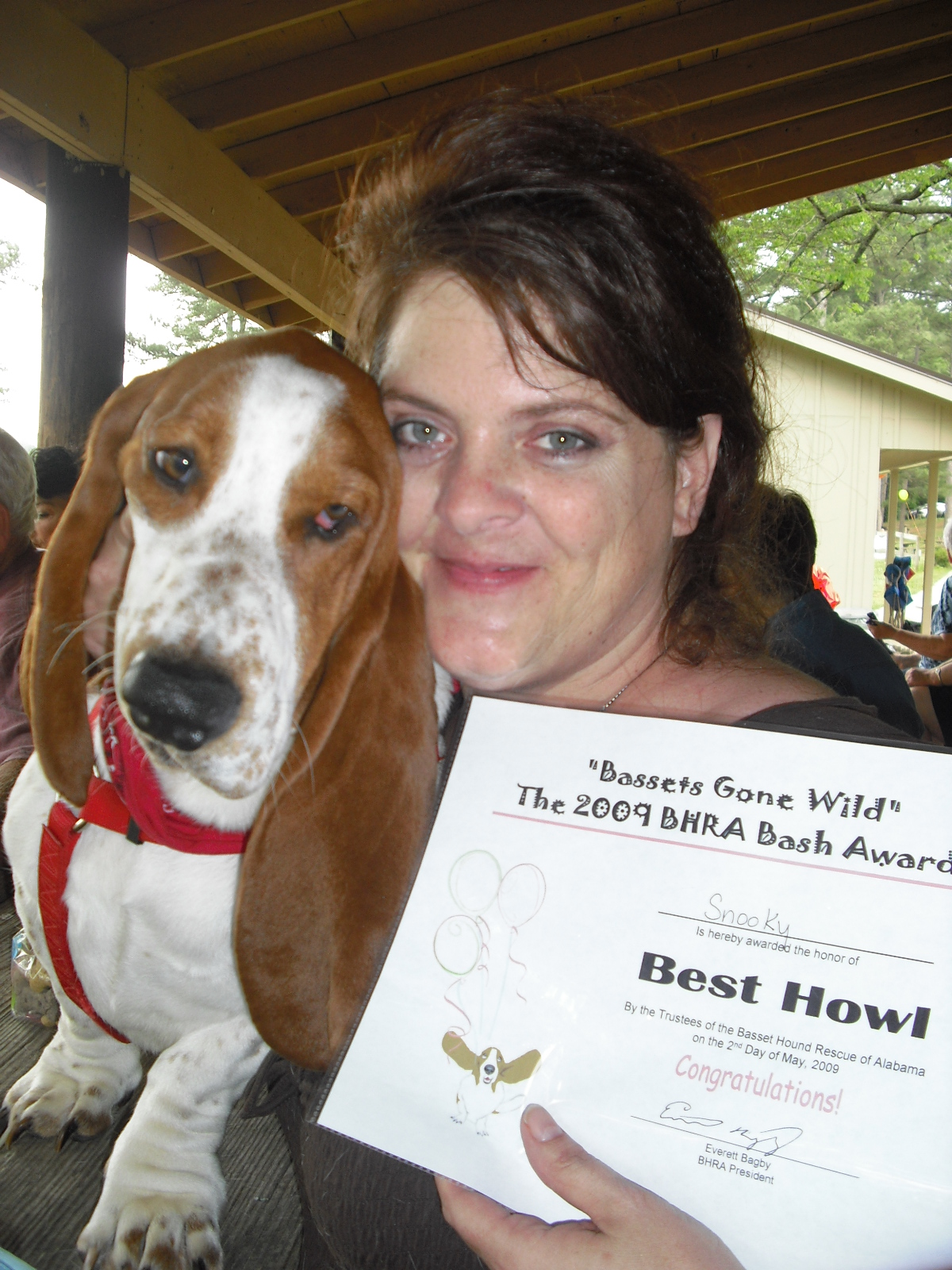 Basset Drool Basset Hound Rescue of Alabama Basset hound Bash 2011