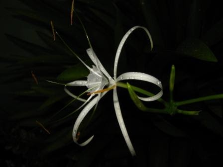 The Beauty Of Life In Simple Things