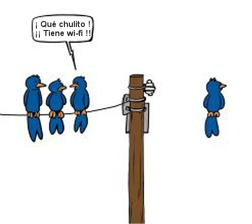 humor pajaros con wifi