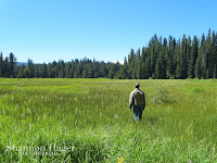 Shannon Hager Photography, Oregon Forest, Oregon Meadow