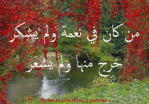اجمل الصور المكتوب عليها باروع الكلمات والعبارات الاسلامية والحكم والمواعظ 2017 مدونة ذكرى للذاكرين الاسلامية