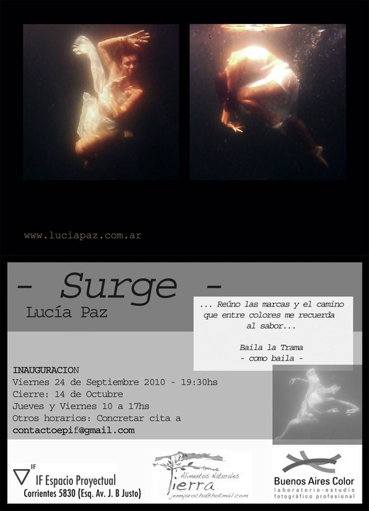 - Surge - Exposición 2010