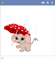 Elephant with umbrella