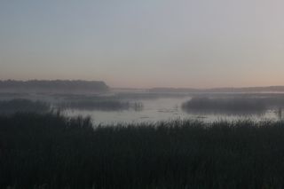misty morning on the river photo of misty morning on the river