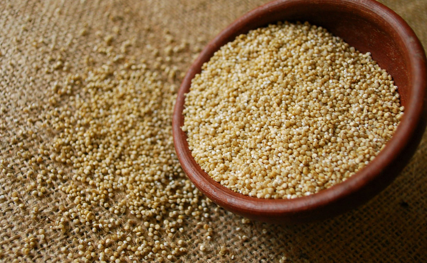 The Health Benefits of Quinoa Guiding Instincts