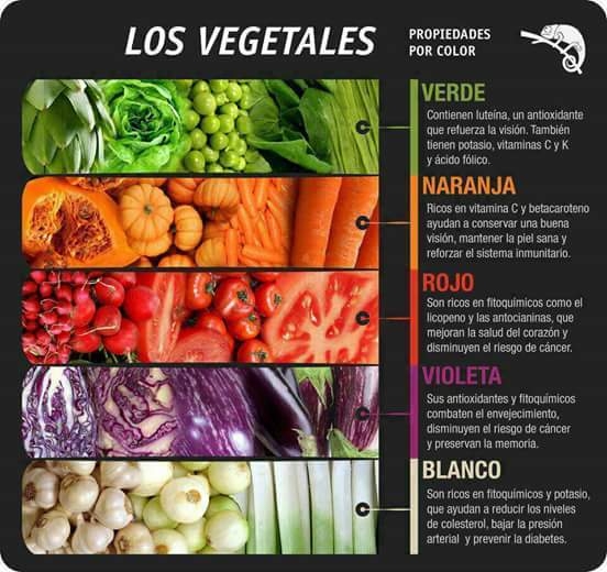 COLOR VEGETAL