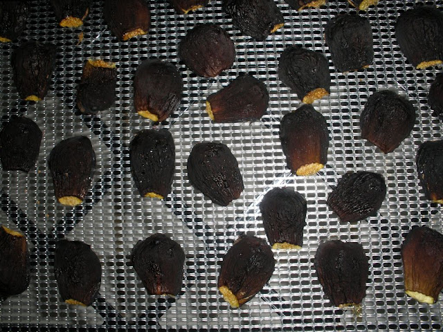MARIETTE'S BACK TO BASICS: Black Mission Figs in our Food Dehydrator