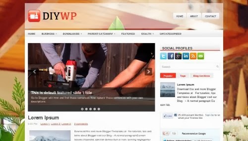 DiyWP DiyWP