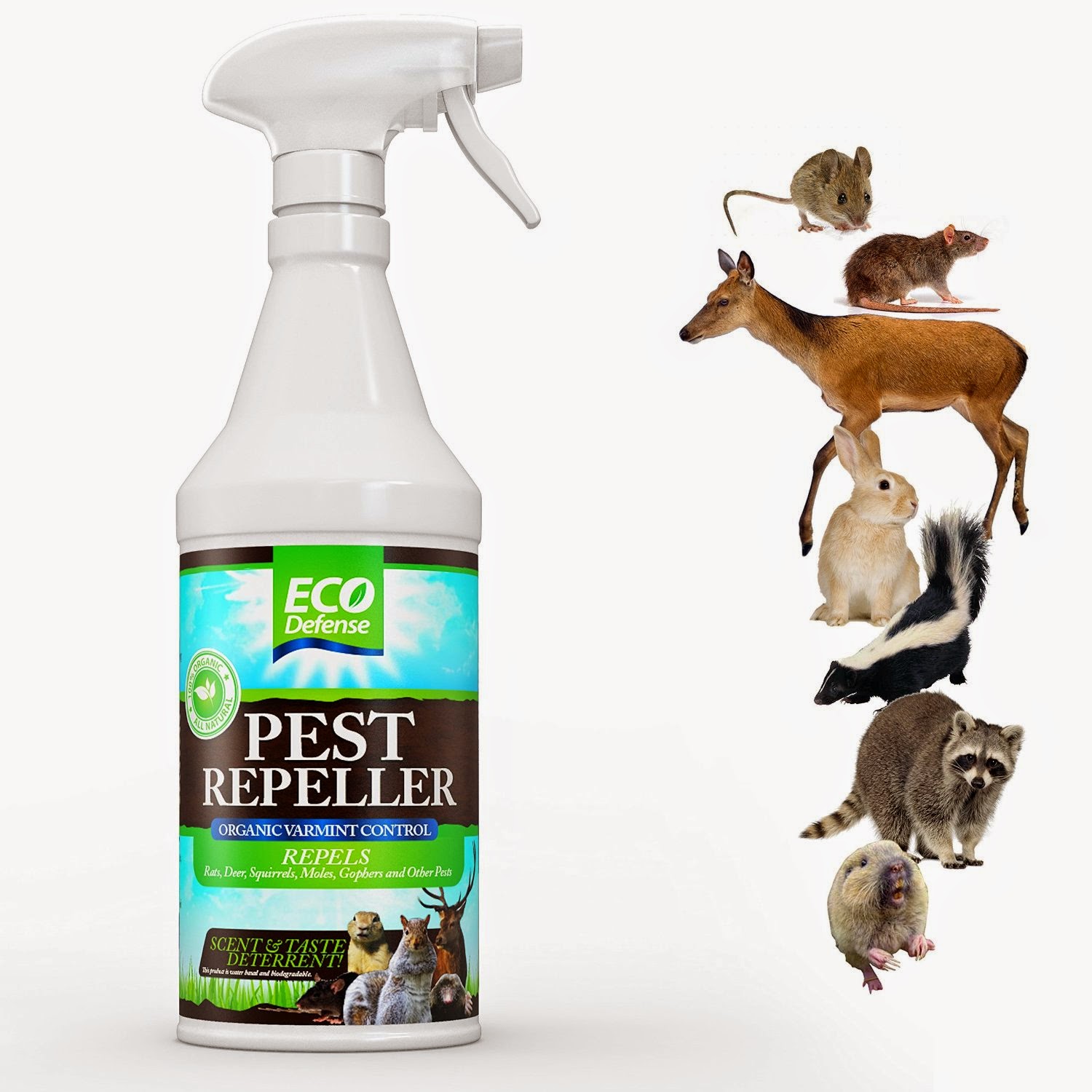 Popular Product Reviews by Amy ORGANIC Pest Repellent Review By Eco