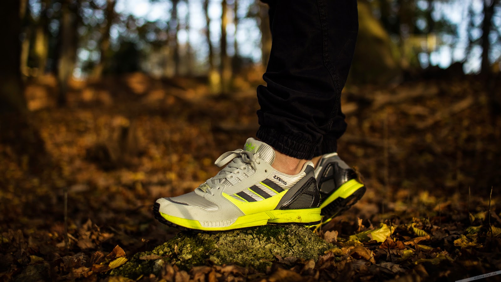 adisneaker: ZX 8000 'oki ni'