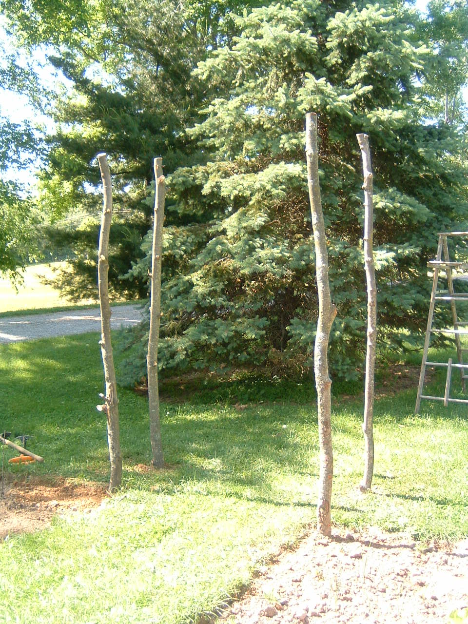 inviting comforts: Garden Arbor