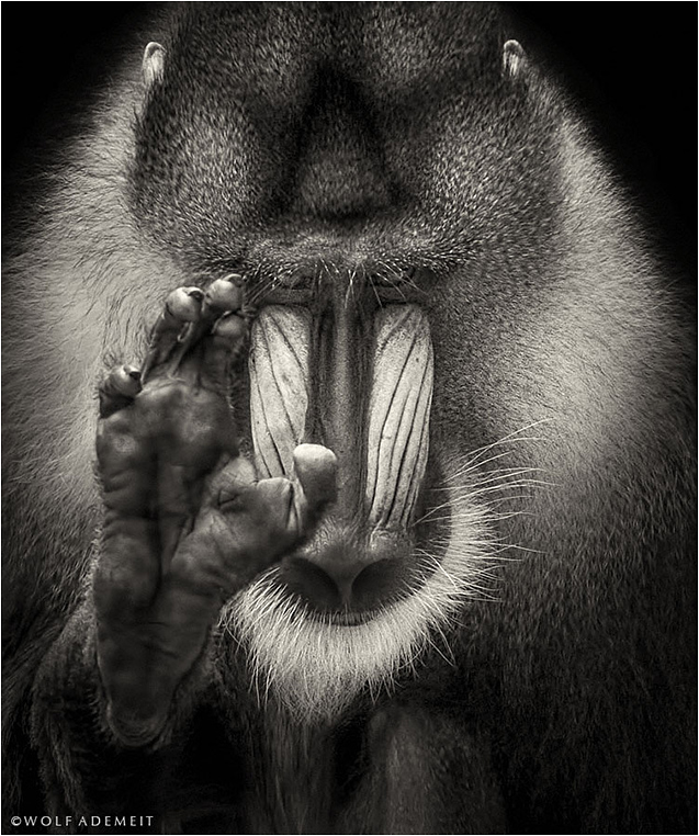 Emerging Photographers, Best Photo of the Day in Emphoka by Wolf Ademeit Emerging Photographers, Best Photo of the Day in Emphoka by Wolf Ademeit