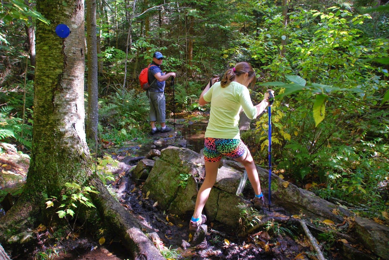 Challenging terrain on the Mizzy Lake Trail A hiker steps over rocks and roots on a trail