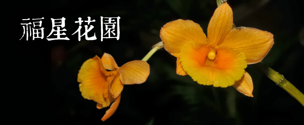 福星花園