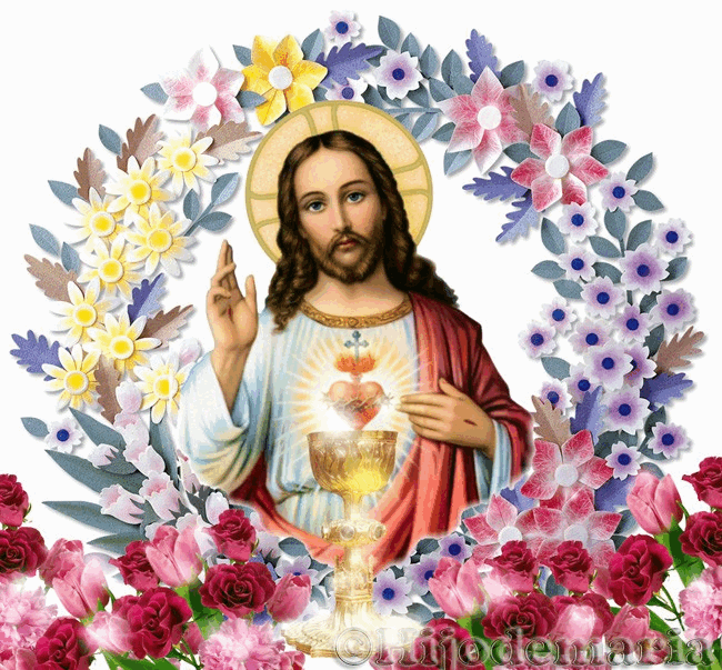 Corazón Eucarístico del Amor ¡es DIOS en la Tierra! ¿Cuánto hace que no haces una VERDADERA Confesión?