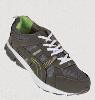 zovi sports shoes