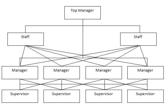 rannie novela: Organisasi Lini