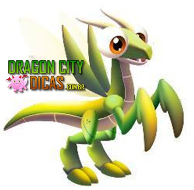 Dragão Louva-a-Deus Dragão Louva-a-Deus