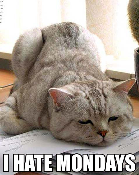 I Dislike Mondays