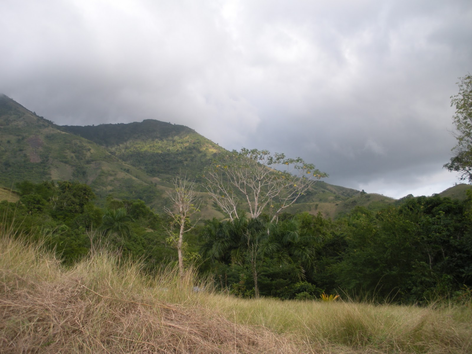 limbe haiti