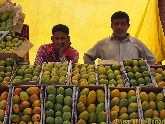 Local food essay picture
