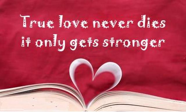 Understand The Realstrength Of True Love Understand The Realstrength Of True Love