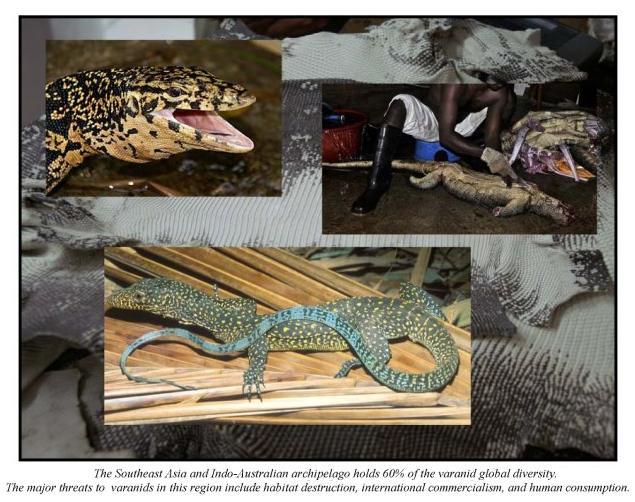 Species New to Science [Herpetology / Conservation • 2013] Pressing