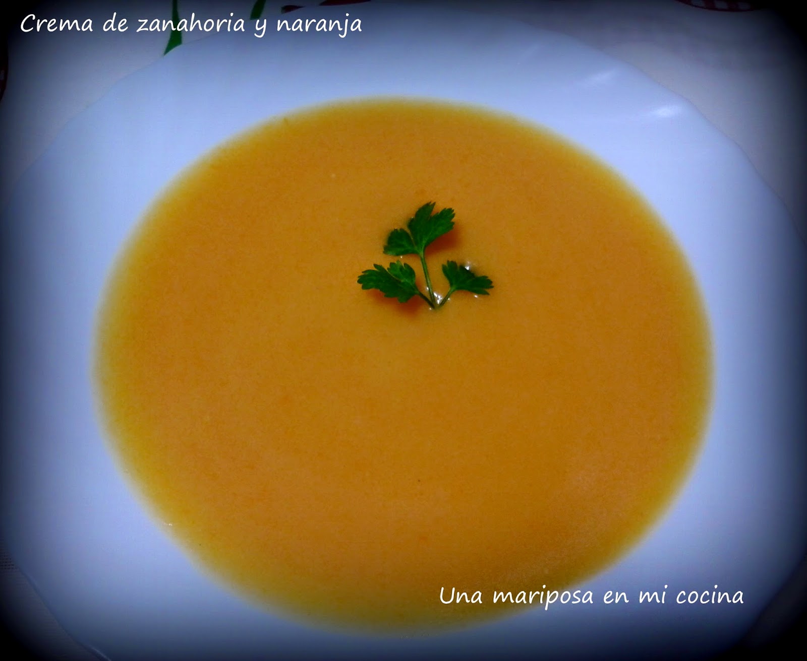 Sopa  De Zanahoria Y Naranja
