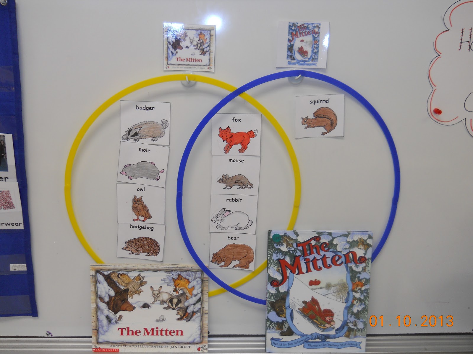 mrs whaley 39 s kindergarten february 2013 venn diagram character comparison