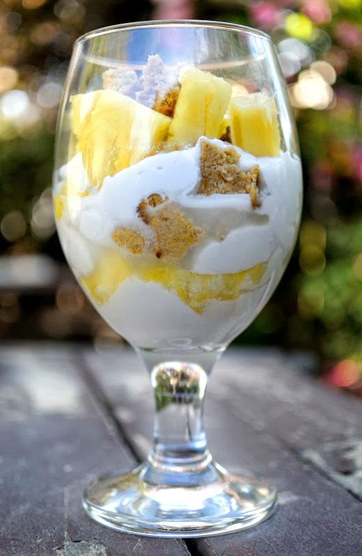 Fit to Blog Paleo Pineapple Parfait (AIP, Paleo, Vegan, Glutenfree)