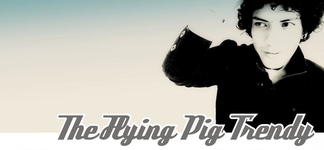 The flying Pig Trendy