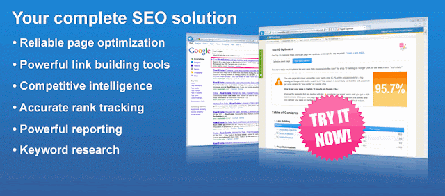Key Factors Behind The Link Popularity And Page Reputation For The Professional Bloggers & Webmasters