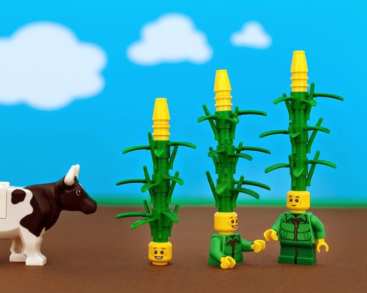 Jeff Friesen, 50 States of Lego Jeff Friesen, 50 States of Lego