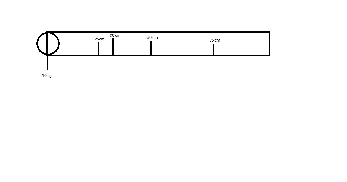 Physics in Motion Mass of a Meterstick