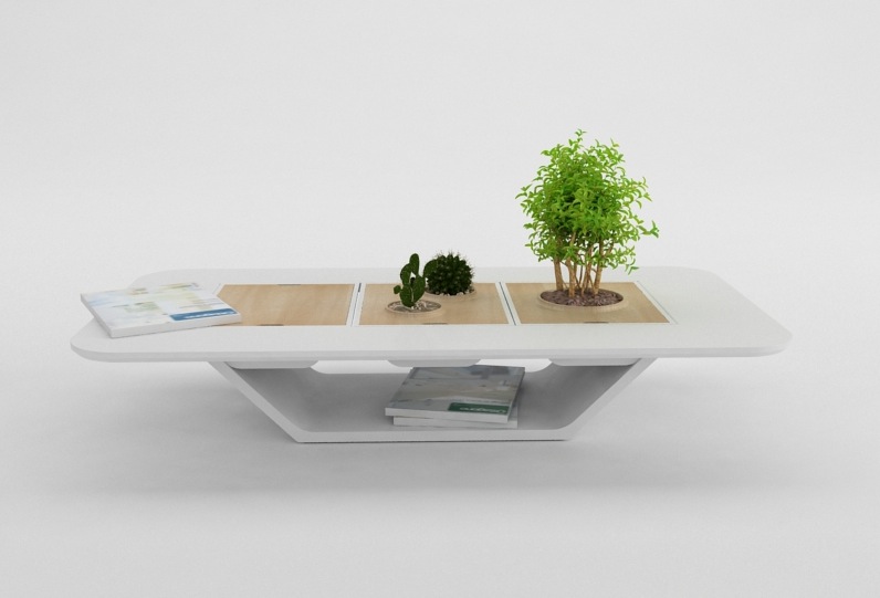 Using Bonsai Tree for Interior Design