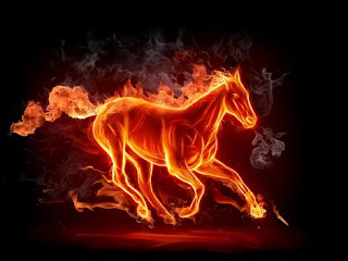 Fire Horse Wallpapers
