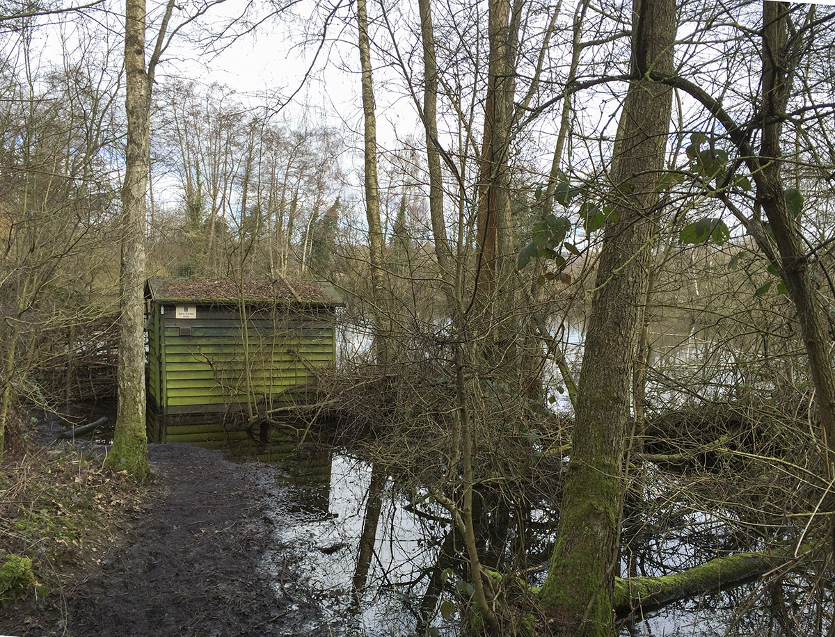 The watery John Carter hide. Sevenoaks Wildlife Reserve, 22 February 2014. The watery John Carter hide. Sevenoaks Wildlife Reserve, 22 February 2014.