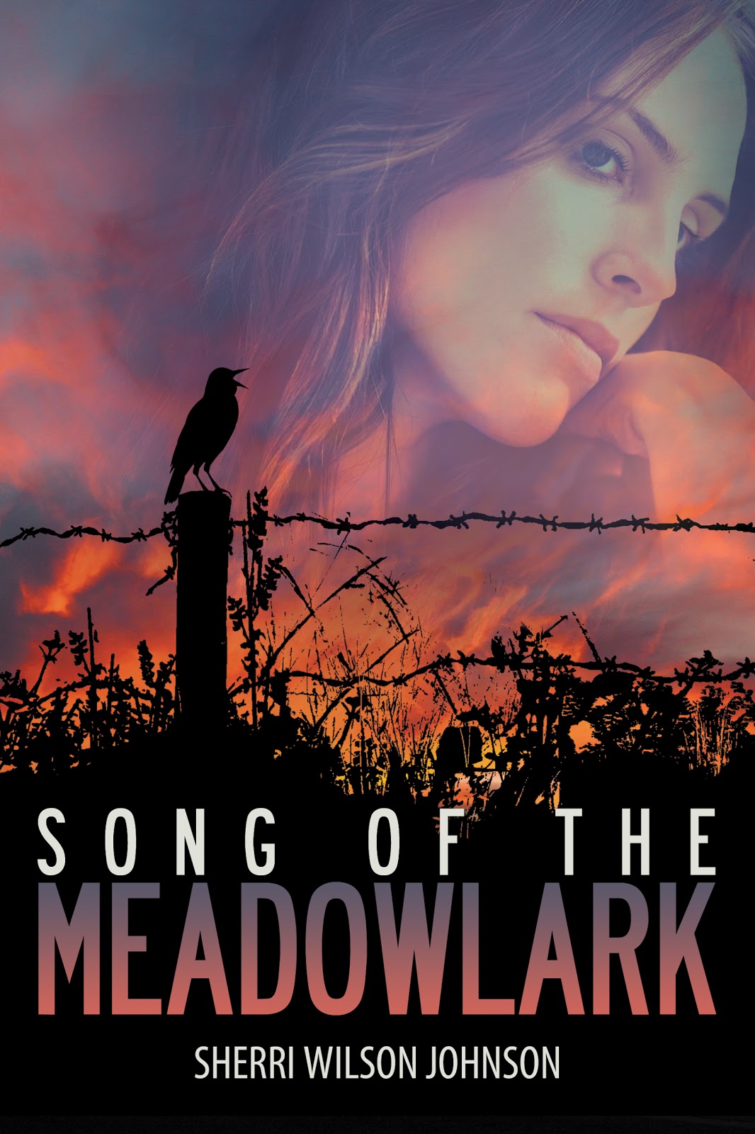 Create Explore Read REView Song of the Meadowlark by Sherri Wilson
